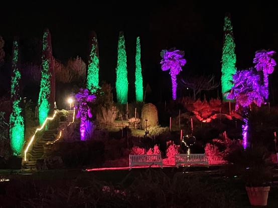 Trees illuminated in green and violet.